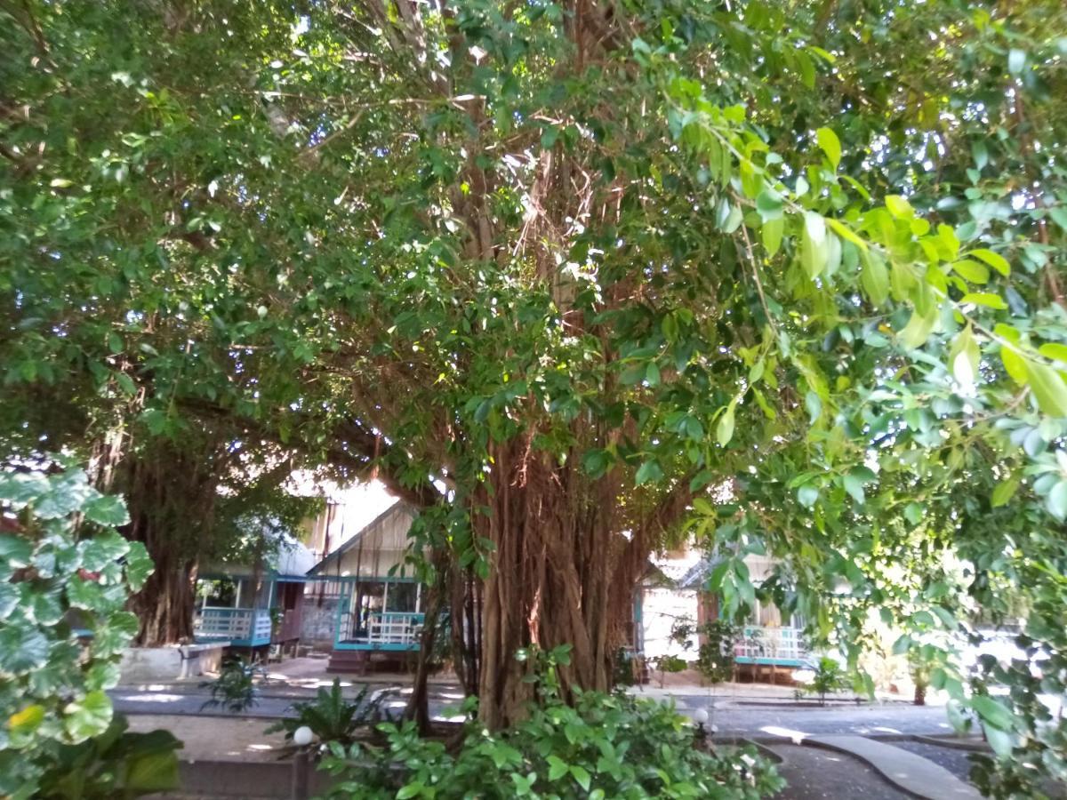 Blu' Beach Bungalows Lamai Beach  Luaran gambar
