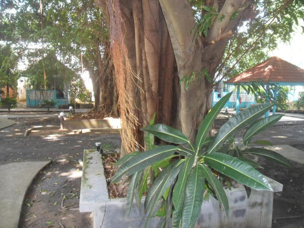 Blu' Beach Bungalows Lamai Beach  Luaran gambar